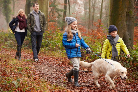 Family gratitude walk